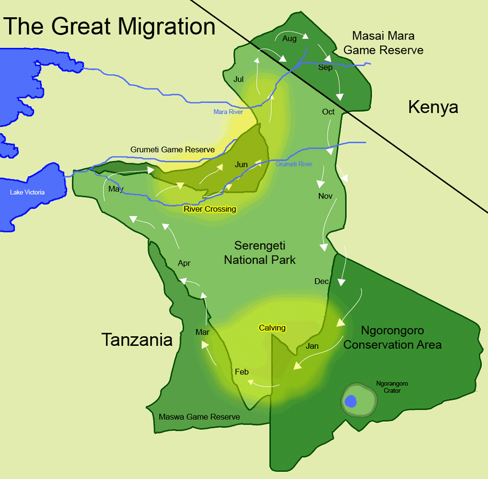 Serengeti National Park Promised Land Tours